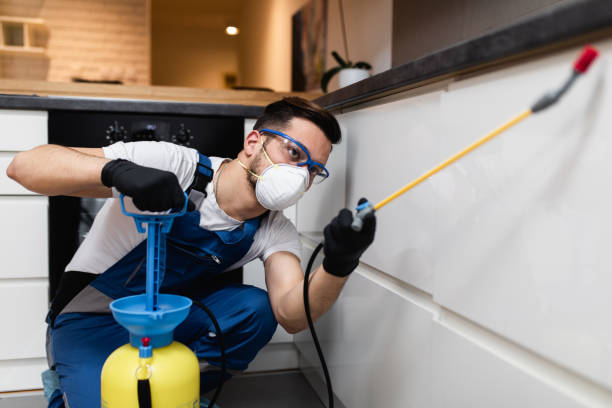 Best Termite Control Services  in Apple Mountain Lake, VA