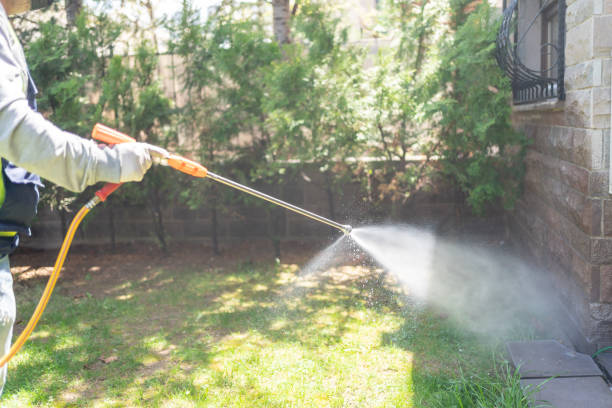 Best Pest Inspection Near Me  in Apple Mountain Lake, VA